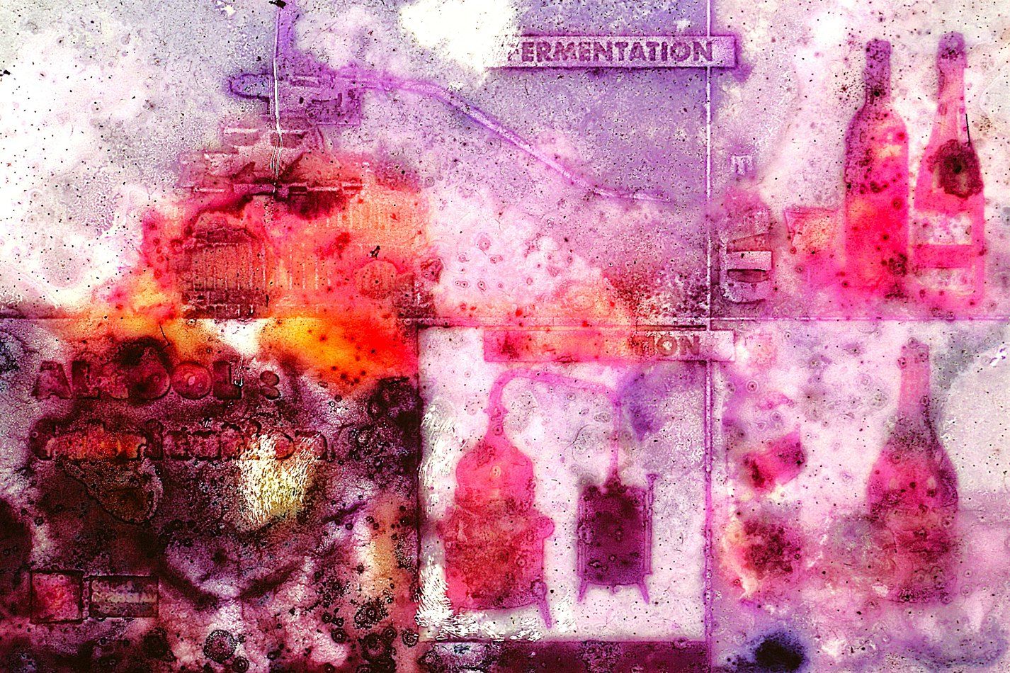 Fermentation
